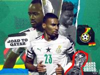 FB体育在线-加纳惊险战胜南非，小组领先排名的简单介绍