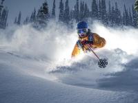 FB体育网页版-戴维斯杯横扫联合杯，穆雷状态火热—当团队荣耀点燃个人巅峰