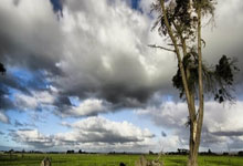 FB体育网页版-亚洲杯烽火骤燃！国米爆冷夜掀翻足坛认知，豪门神话背后暗流汹涌