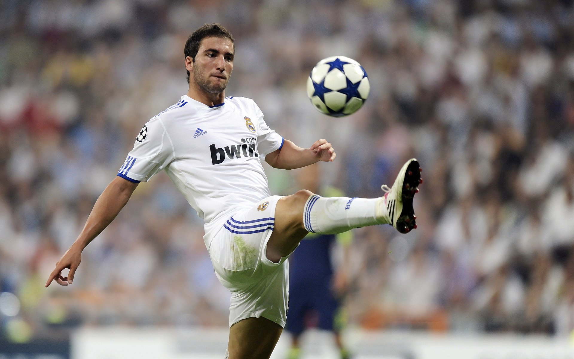 联合杯完胜戴维斯杯，穆雷点燃赛场，网球新纪元开启